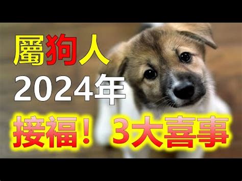 屬狗今年幾多歲|屬狗年份｜2024年幾歲？屬狗出生年份+歲數一